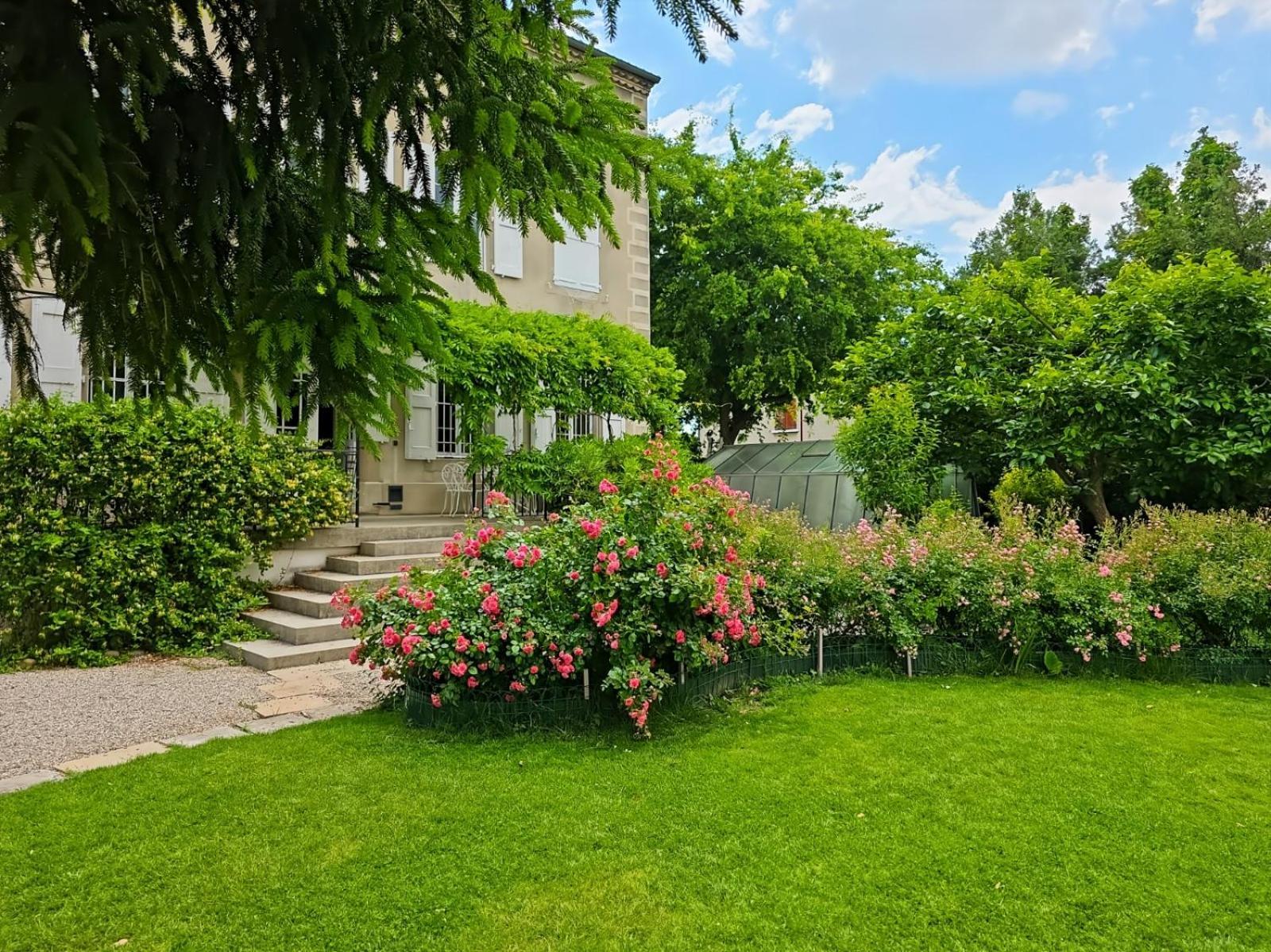 罗纳住宿加早餐旅馆 Andancette 外观 照片
